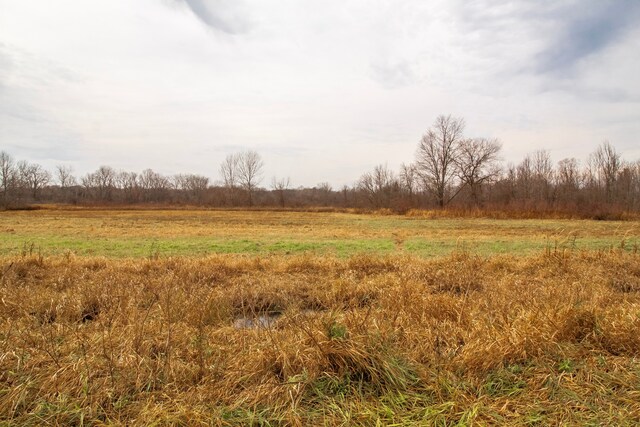 VL Roods Lake Road, Lapeer, MI 48446 - photo 4