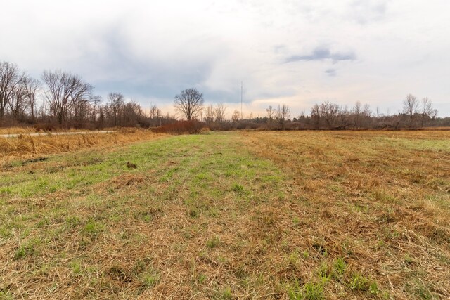 VL Roods Lake Road, Lapeer, MI 48446 - photo 6