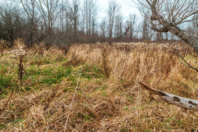 VL Roods Lake Road, Lapeer, MI 48446 - photo 11