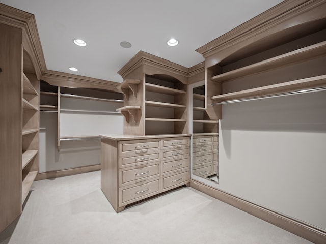 spacious closet with light carpet