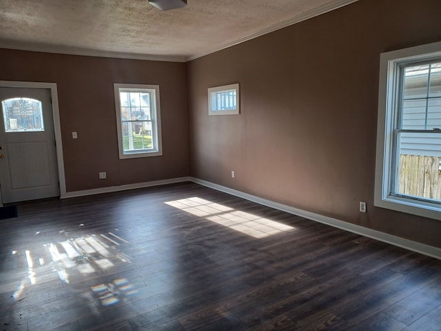 entryway featuring crown molding, dark hardwood / wood-style floors, and a textured ceiling