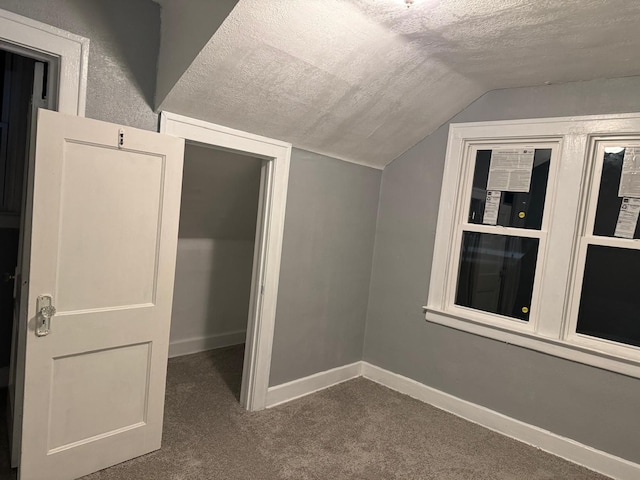 additional living space featuring lofted ceiling, carpet floors, and a textured ceiling