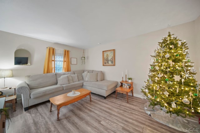 living room featuring hardwood / wood-style floors