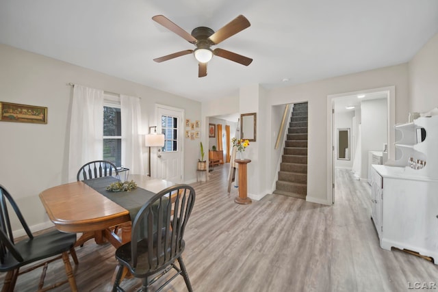 dining room with ceiling fan and light hardwood / wood-style flooring