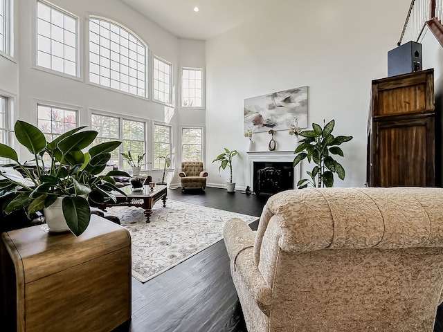 living room with dark wood-type flooring and a high ceiling