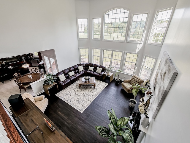 living room with a healthy amount of sunlight, a high ceiling, and hardwood / wood-style flooring