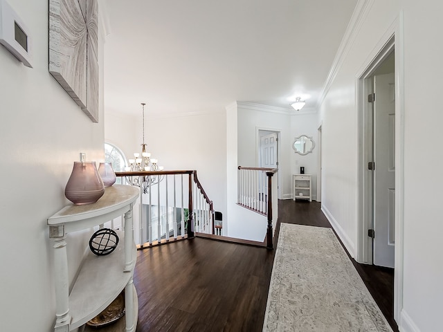 hallway with a chandelier, dark hardwood / wood-style floors, and ornamental molding