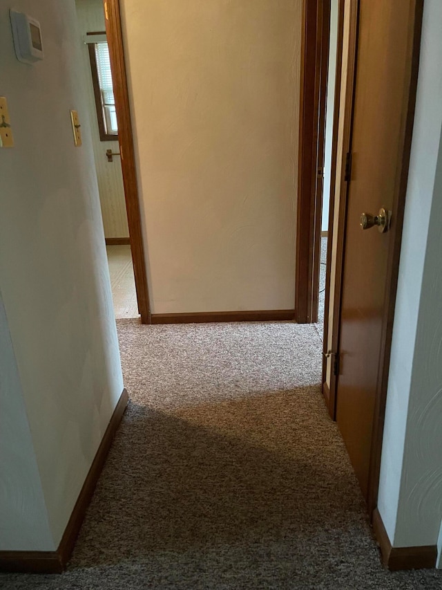 hallway with carpet floors