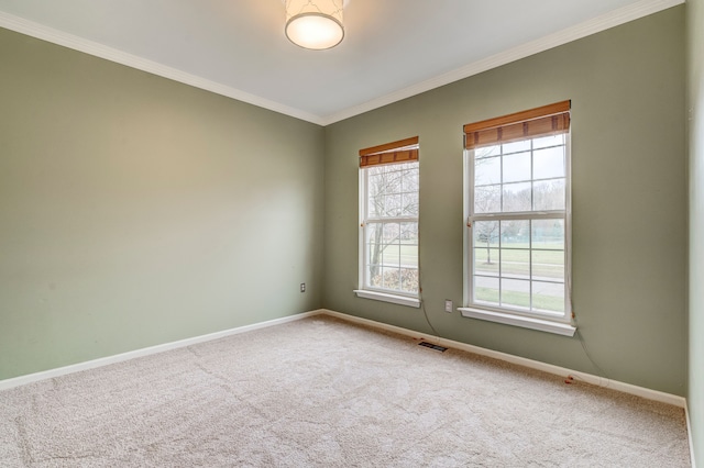 carpeted spare room featuring a wealth of natural light and ornamental molding