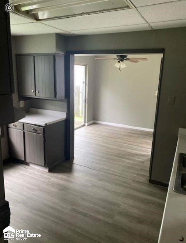 kitchen featuring gray cabinetry, a drop ceiling, ceiling fan, and light wood-type flooring