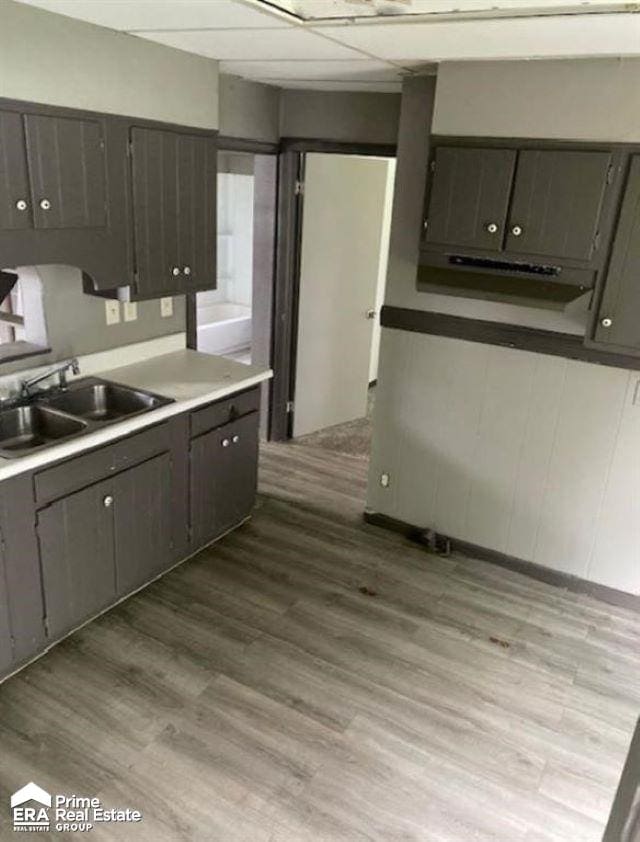 kitchen featuring a drop ceiling, light hardwood / wood-style floors, and sink