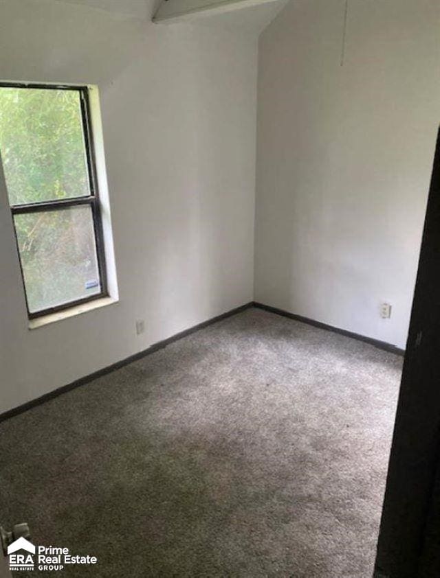 empty room with carpet and a healthy amount of sunlight