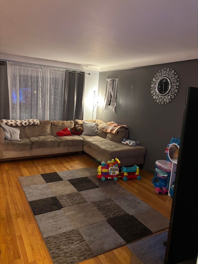 living room with hardwood / wood-style floors