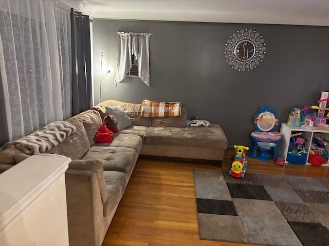 living room with wood-type flooring