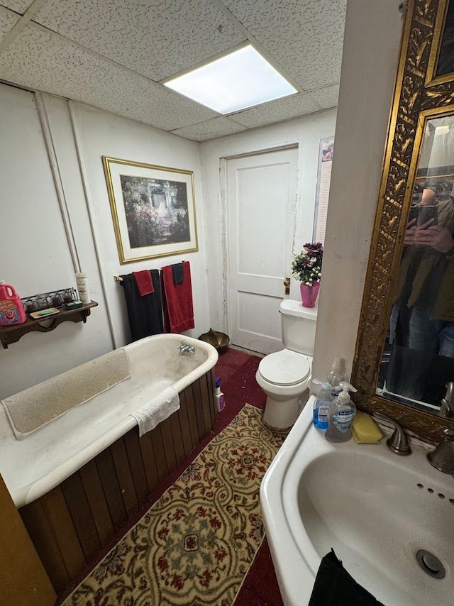 bathroom with a bathing tub, a drop ceiling, toilet, and sink