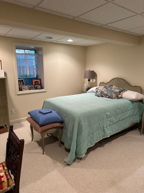 bedroom with carpet flooring and a drop ceiling