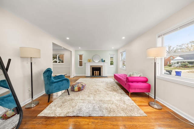 living room featuring hardwood / wood-style flooring