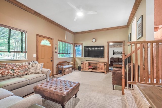 living room with carpet, ceiling fan, and ornamental molding