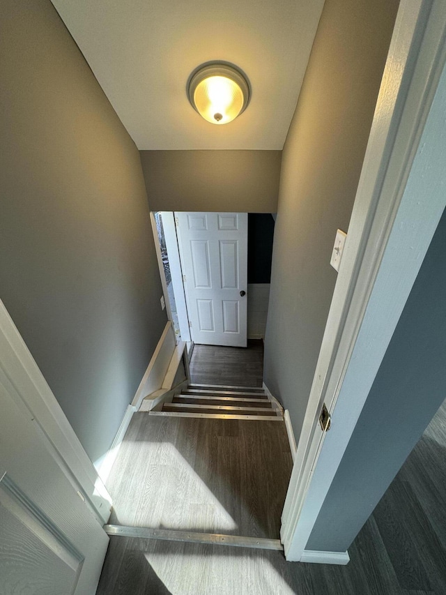 stairway with hardwood / wood-style flooring