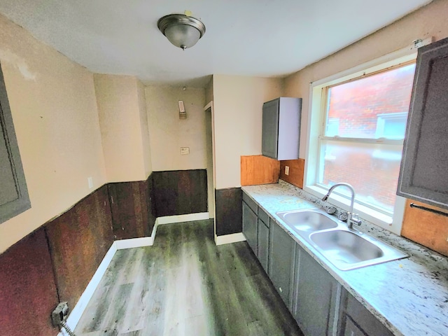 kitchen with gray cabinets, dark hardwood / wood-style flooring, and sink