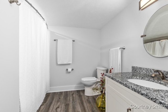 bathroom featuring hardwood / wood-style floors, vanity, and toilet