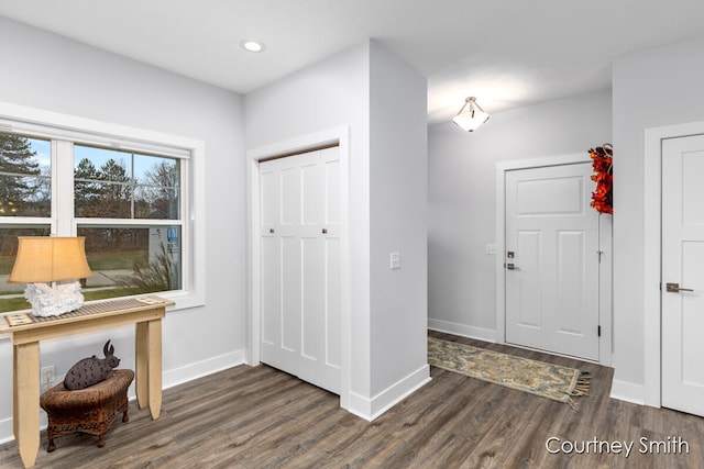 foyer with dark wood-type flooring