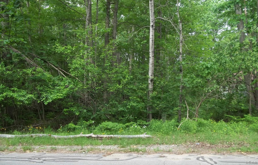 0 Butterfield Ave, Houghton Lake, MI 48629