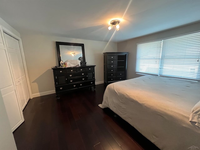 bedroom featuring dark hardwood / wood-style floors and a closet