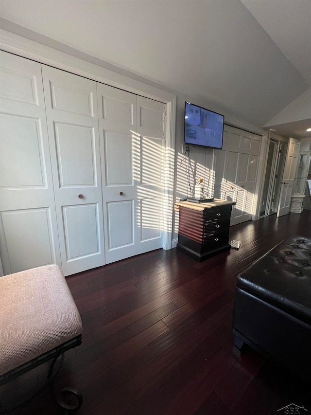 bedroom with dark hardwood / wood-style floors, vaulted ceiling, and a closet