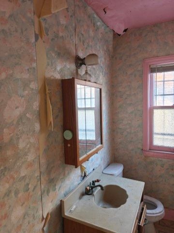 bathroom with vanity and toilet