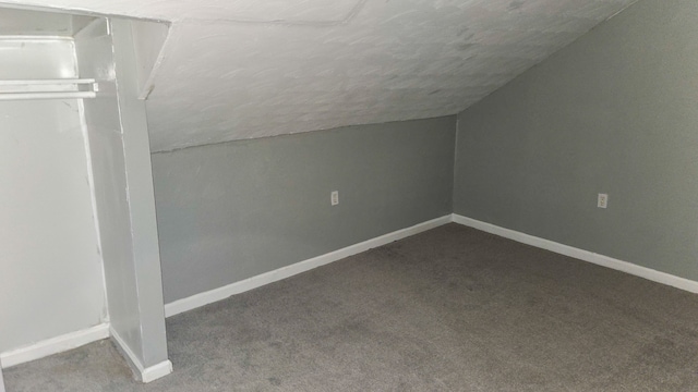 additional living space featuring carpet