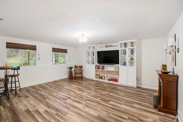 living room featuring hardwood / wood-style flooring