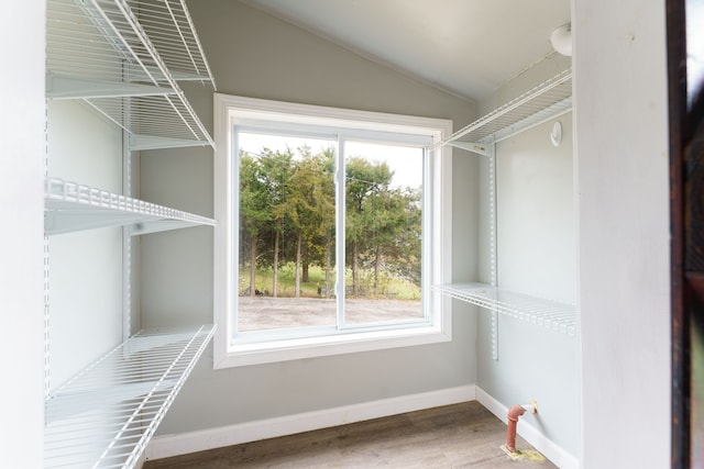 spacious closet with vaulted ceiling and hardwood / wood-style flooring