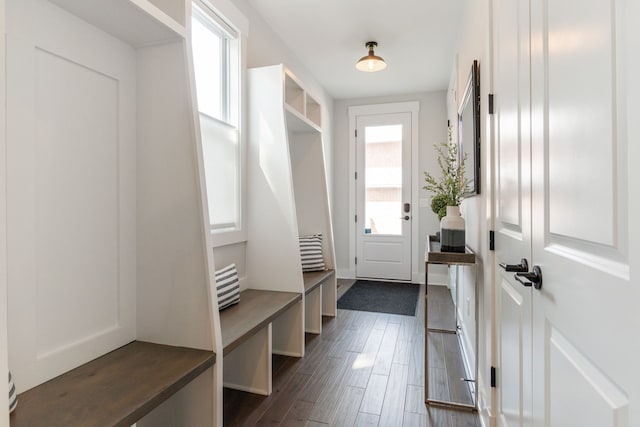 mudroom featuring dark hardwood / wood-style floors and a wealth of natural light