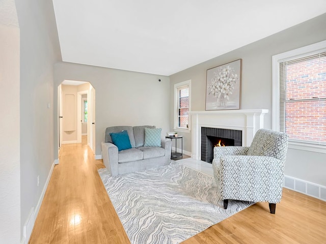 living room featuring a fireplace and hardwood / wood-style flooring