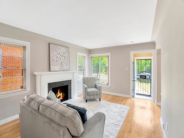 living room featuring light hardwood / wood-style floors and a fireplace