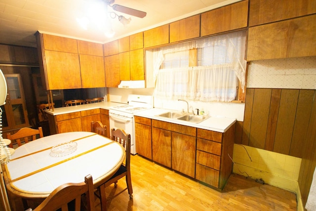 kitchen with white stove, sink, wooden walls, light hardwood / wood-style flooring, and ceiling fan