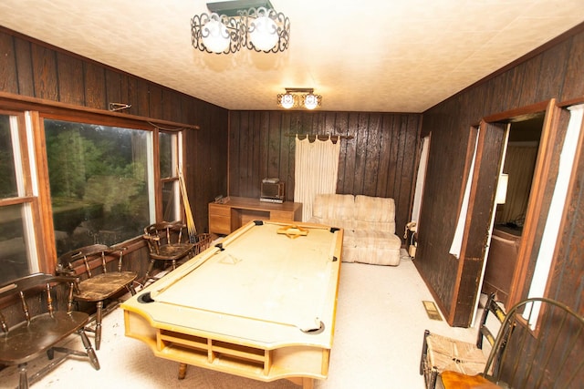 56453 M-51, Dowagiac, MI 49047 - game room featuring wood walls, pool table, and carpet floors