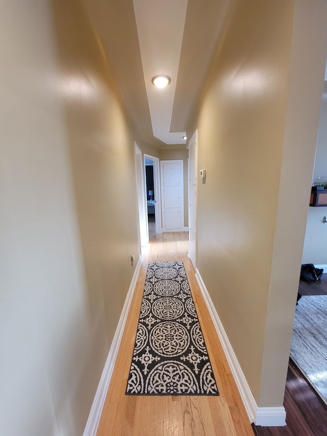 hallway with wood-type flooring