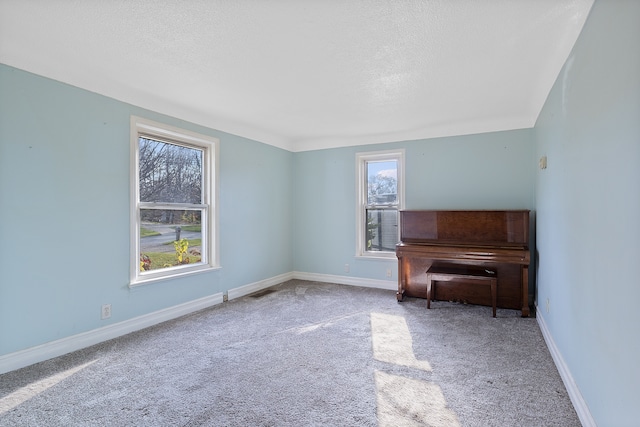 miscellaneous room featuring light carpet and a textured ceiling