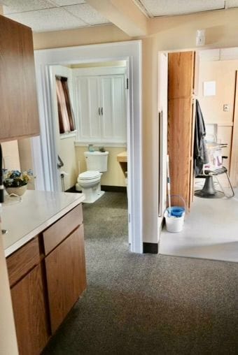 bathroom featuring toilet