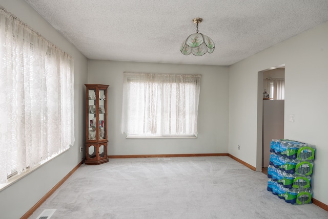 spare room featuring carpet and a textured ceiling