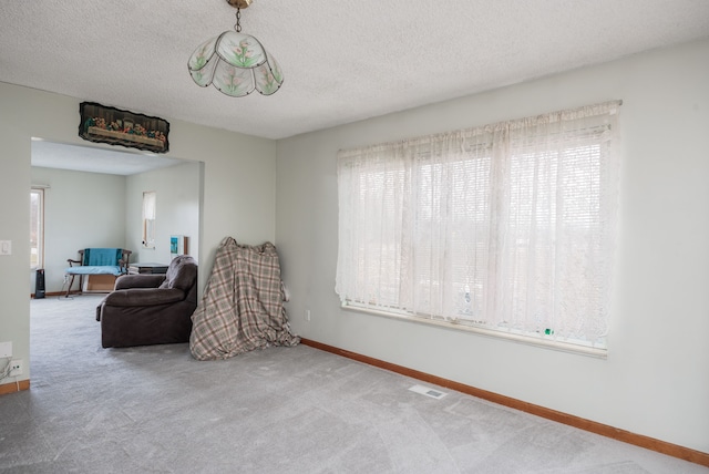 living area with carpet and a textured ceiling