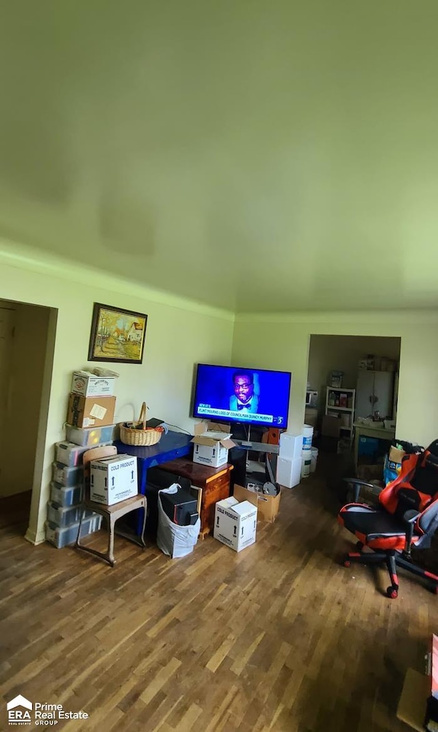 living room featuring dark hardwood / wood-style floors