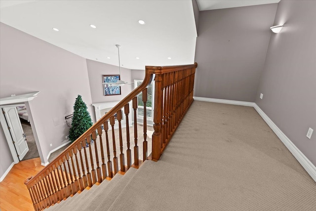 staircase with carpet floors