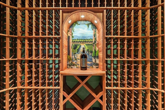 view of wine room