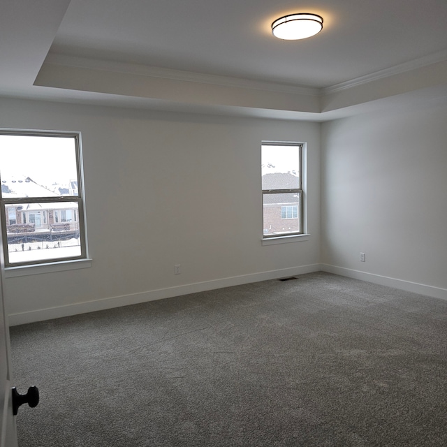 carpeted empty room with crown molding and a tray ceiling