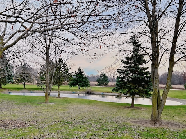 view of community featuring a lawn and a water view