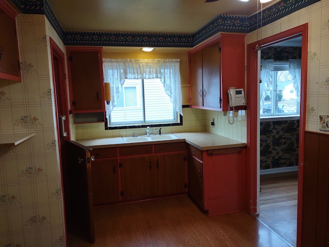 kitchen featuring dark hardwood / wood-style floors, ceiling fan, and sink