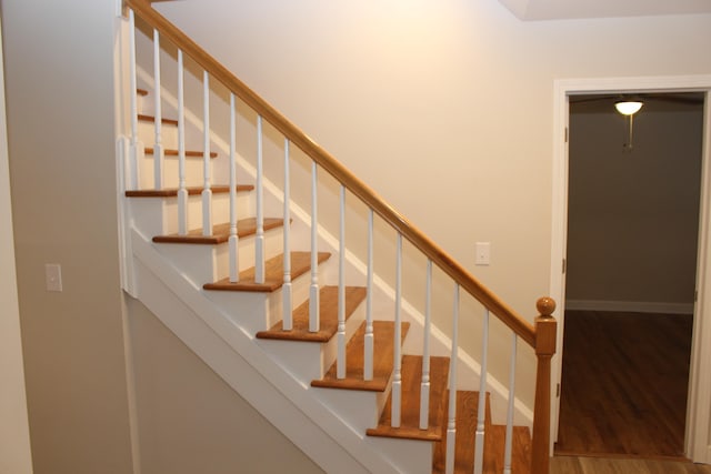 stairway with wood-type flooring